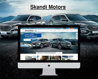 Hyundai dealer website development